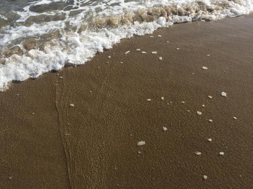 Orlina Διαμέρισμα Empuriabrava Εξωτερικό φωτογραφία